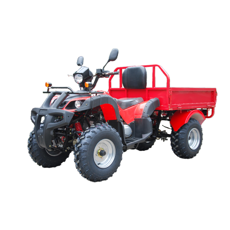Hot sale Farm ATV 200CC 4 wheeler ATV multipurpose ATV with high quality
